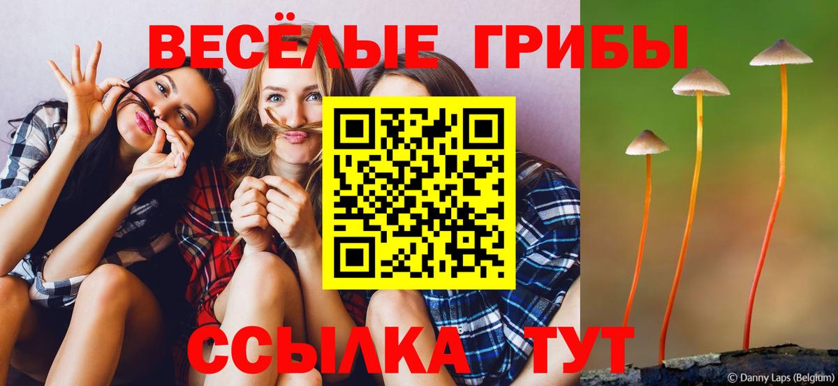 Псилоцибиновые грибы GOLDEN TEACHER Мичуринск