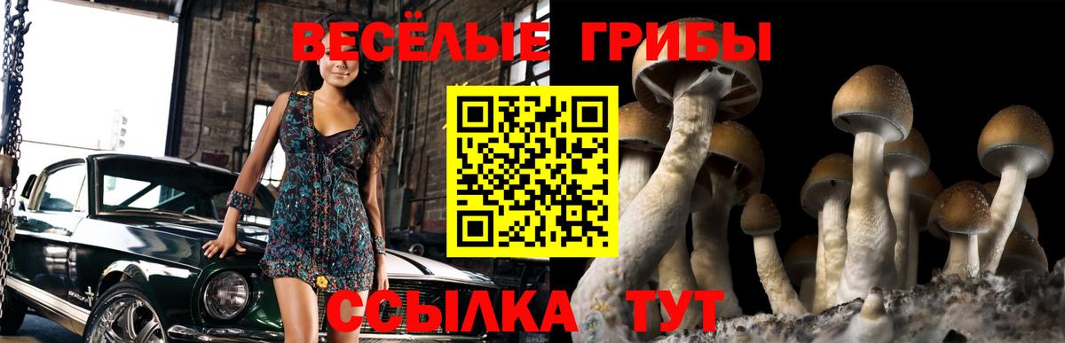 Мичуринск  Псилоцибиновые грибы GOLDEN TEACHER  хочу наркоту  Вход с VPN 